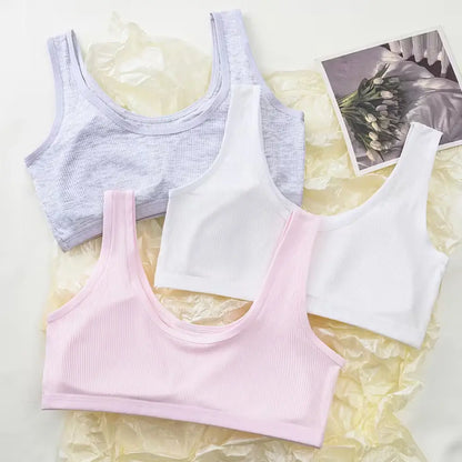 Padded Pack Of 3 Teenage Girls Cotton Training Bra